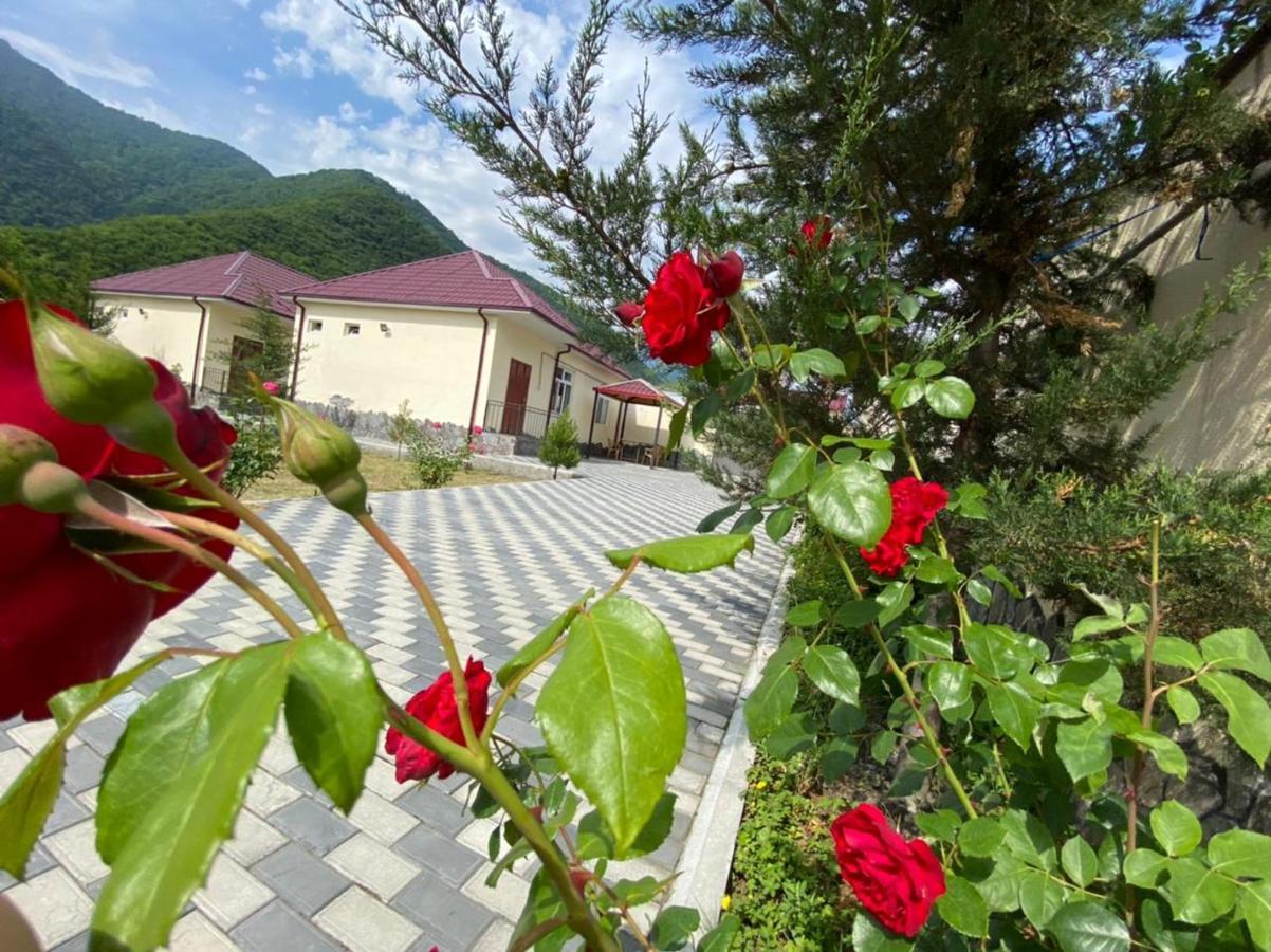 Alp Hotel 卡希 外观 照片